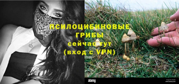 СК Арсеньев