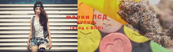 спиды Аркадак