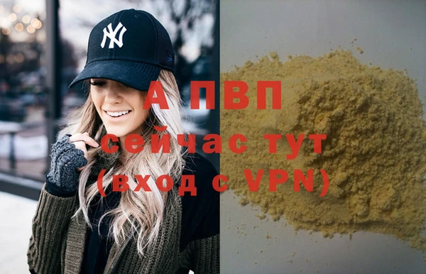 спиды Аркадак