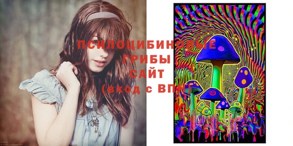 спиды Аркадак
