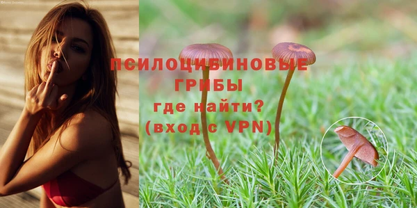 спиды Аркадак